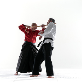 Hapkido 6 — figure reference